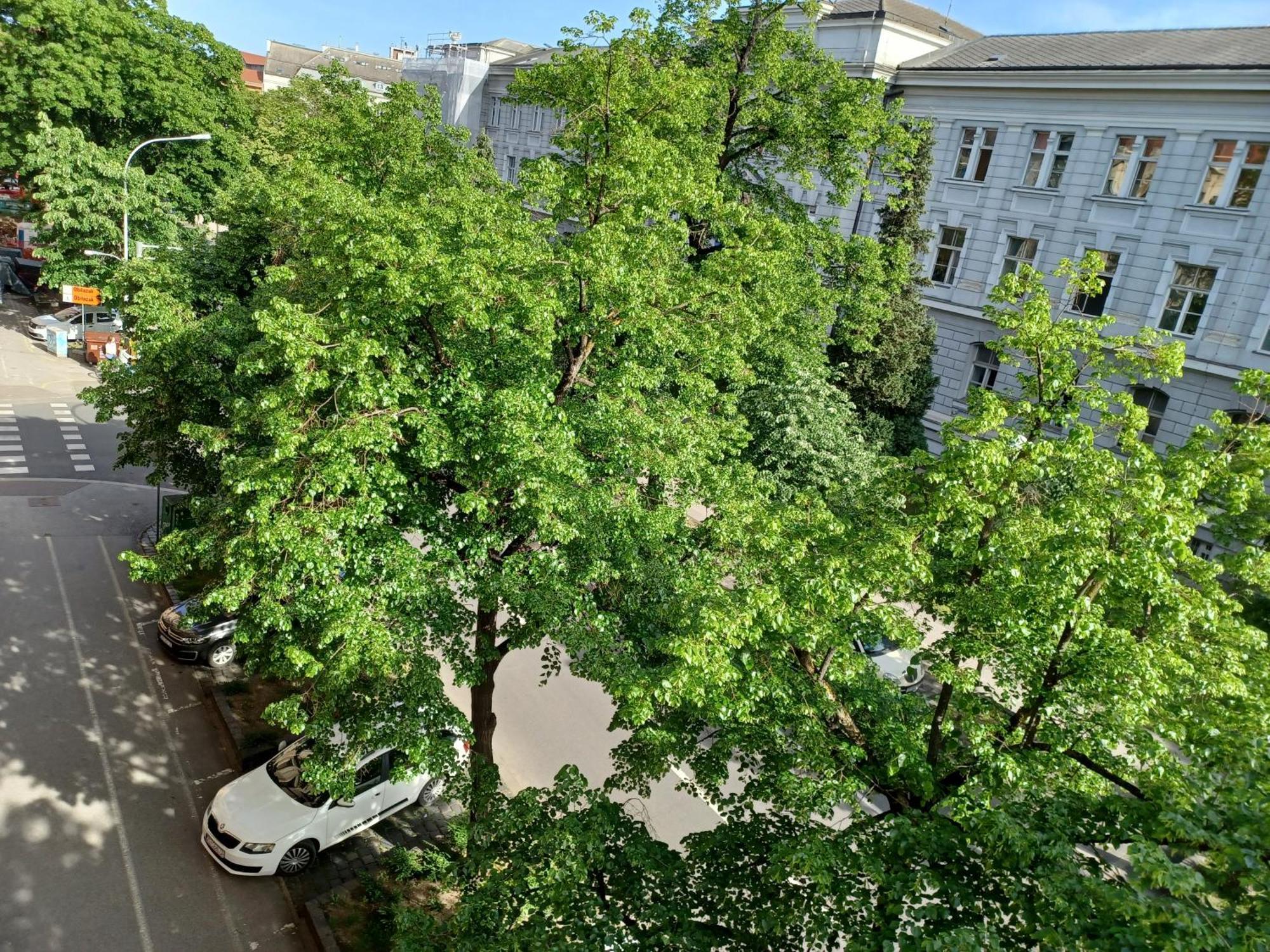Apartment Theatrum Zagreb Dış mekan fotoğraf